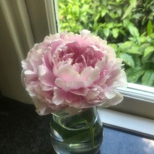 Meet your Posher, Mary